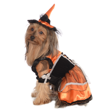 Picture of ORANGE WITCH COSTUME - SMALL