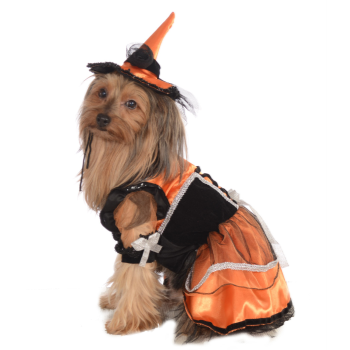 Image de ORANGE WITCH COSTUME - SMALL