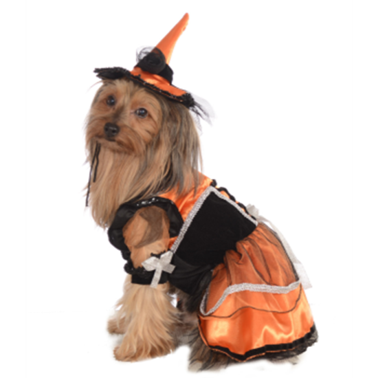 Image sur ORANGE WITCH COSTUME - SMALL