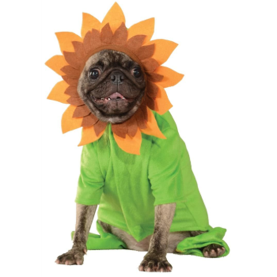 Image sur SWEET SUNFLOWER COSTUME - LARGE