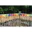 Image de Luau Deck Fringe