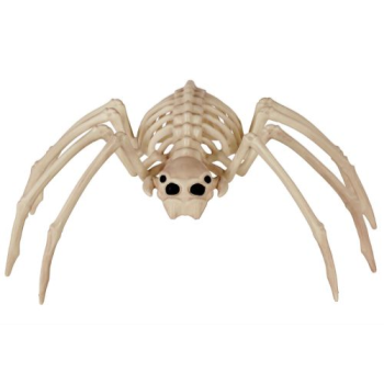 Picture of 20" SPINE CHILLING SPIDER SKELETON