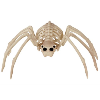 Image de 20" SPINE CHILLING SPIDER SKELETON