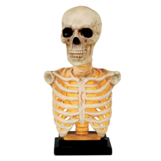 Image sur 16" SKELETON BUST - LIGHT UP AND SOUND