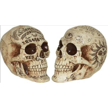 Picture of 7" FORTUNE TELLER SKULL - ASSORTED STYLES