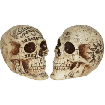 Image de 7" FORTUNE TELLER SKULL - ASSORTED STYLES