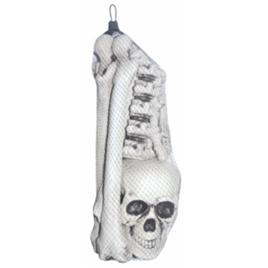 Image sur BAG OF BONES 16"X6"