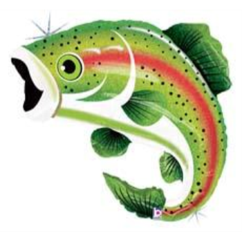 Image de RAINBOW TROUT FLAT 29" SHAPE