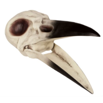 Image de 9" RAVEN SKULL SKELETON