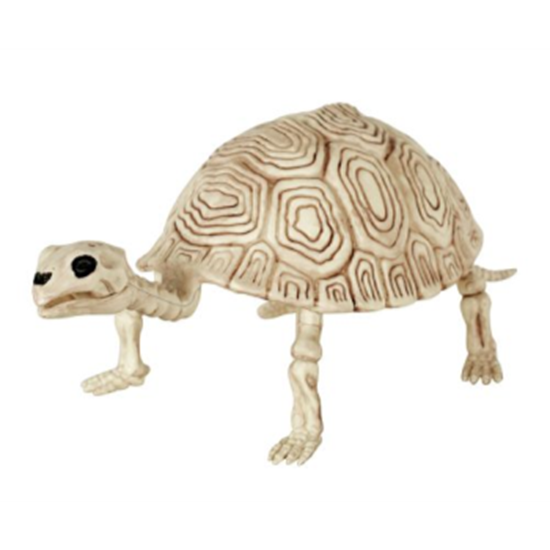 Image sur 5.5" TURTLE SKELETON