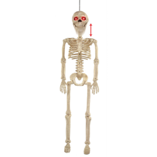 Image sur ANIMATED 36" HANGING SKELETON