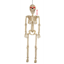 Picture of ANIMATED 36" HANGING SKELETON