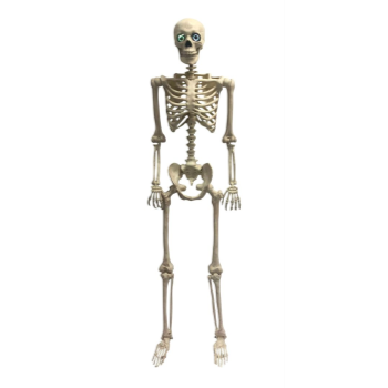 Image de 60" ANIMATED HANGING SKELETON