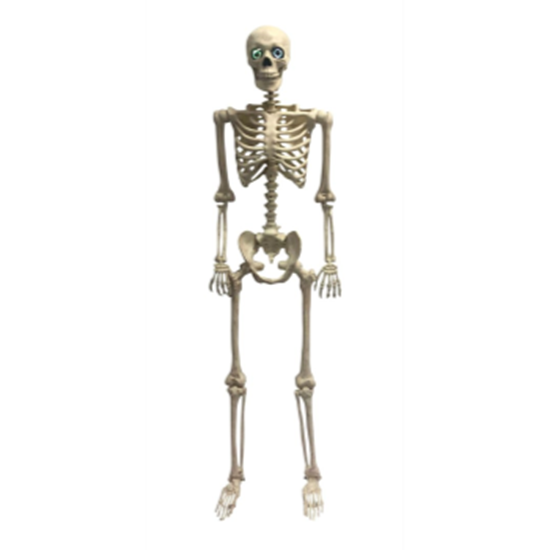 Image sur 60" ANIMATED HANGING SKELETON