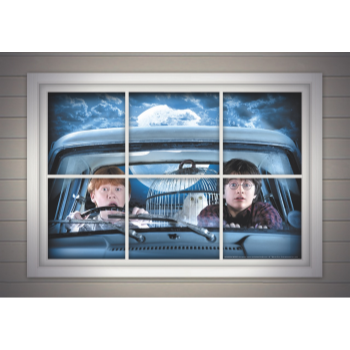 Picture of HARRY POTTER - HARRY & RON WINDOW POSTER