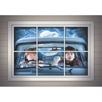 Image de HARRY POTTER - HARRY & RON WINDOW POSTER