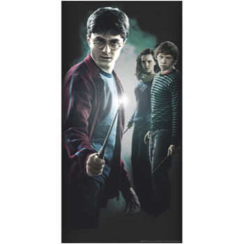 Image de HARRY POTTER - DOOR COVER