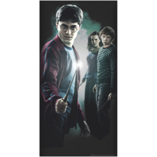 Image sur HARRY POTTER - DOOR COVER