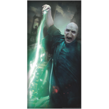 Image de HARRY POTTER - VOLDEMORT DOOR COVER