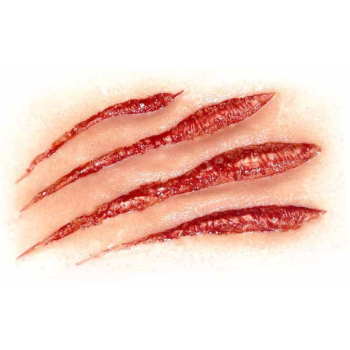 Image de FX - RENFIELD SLASHED
