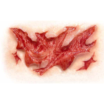 Image de FX - RENFIELD RIPPED THROAT