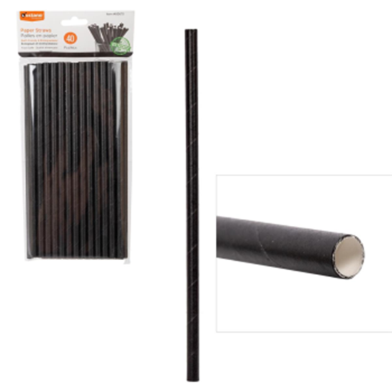 Image sur BLACK PAPER STRAWS 