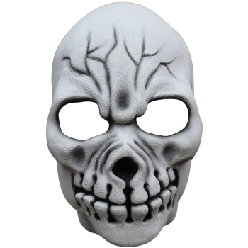 Image de Cracked Skull Mask