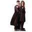 Picture of HARRY POTTER - HARRY & HERMIONE - LIFE SIZE CARDBOARD STANDEES