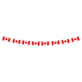 Picture of Canada Day Flag Banner
