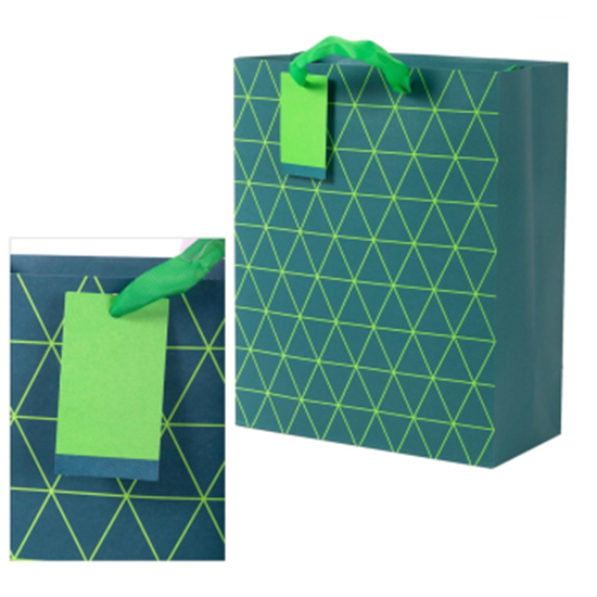 Image sur MATTE GIFT BAG - TEAL GEO - LARGE