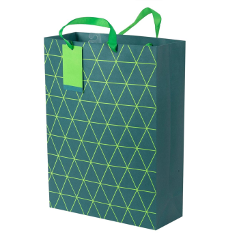 Image de MATTE GIFT BAG - TEAL GEO - JUMBO