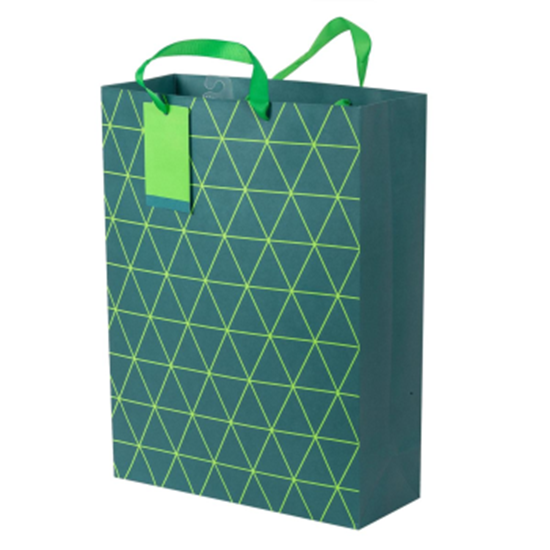 Image sur MATTE GIFT BAG - TEAL GEO - JUMBO