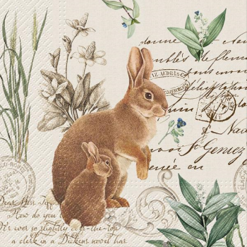 Picture of TABLEWARE - BROWN RABBIT LUNCHEON NAPKINS