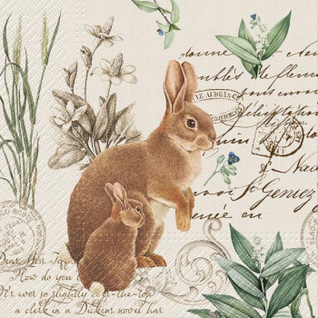 Image de TABLEWARE - BROWN RABBIT LUNCHEON NAPKINS