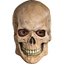 Image de CRYPT SKULL LATEX MASK 