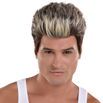 Image de 90's Male Frosted Tips Wig