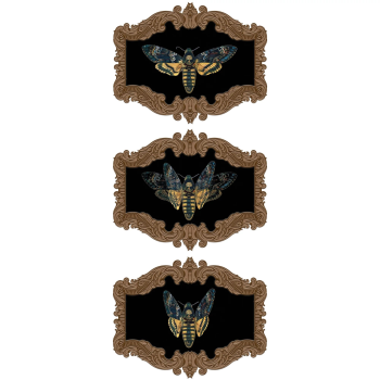 Image de Dark Academia Moth Hanging Lenticular