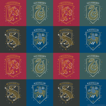 Image de Harry Potter Gift Wrap