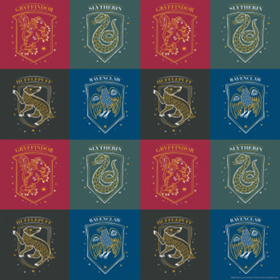 Image sur Harry Potter Gift Wrap