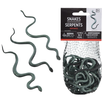 Image de DECOR - Small Iridescent Snake