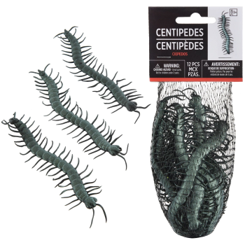 Image de DECOR - Small Iridescent Centipede