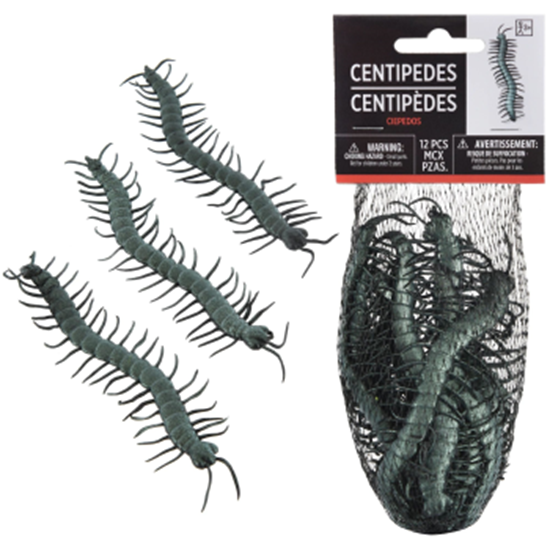 Image sur DECOR - Small Iridescent Centipede