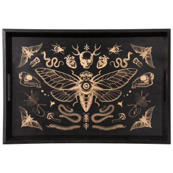 Image de Dark Academia Tray