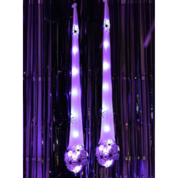 Image de LED HANGING SPIDER EGG NEST 2/PACK