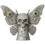 Image de Dark Academia Moth Skull Statue 10"x12"