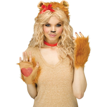 Image de ANIMAL - LOVELY LION KIT