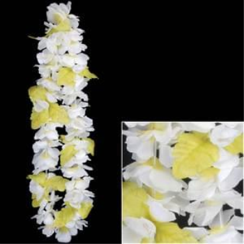 Image de WHITE WITH YELLOW PLUMERIA FLOWER