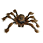 Picture of 36" BROWN SPIDER
