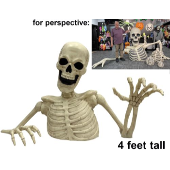 Image de 4' OVERSIZED SKELETON GROUNDBREAKER