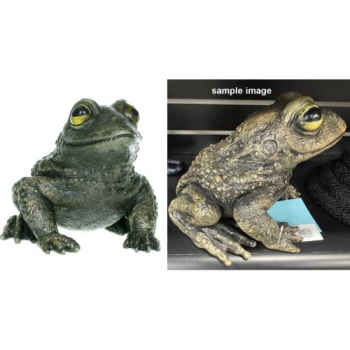 Image de 9.5" GREEN FROG